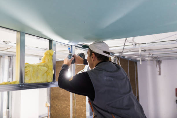 Best Insulation Maintenance and Repair in North College Hill, OH