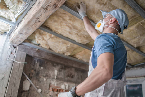 Best Residential Insulation in North College Hill, OH
