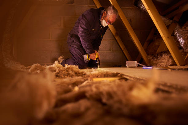 Best Insulation Installation Services in North College Hill, OH